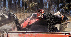 conveyor-drive-wheels